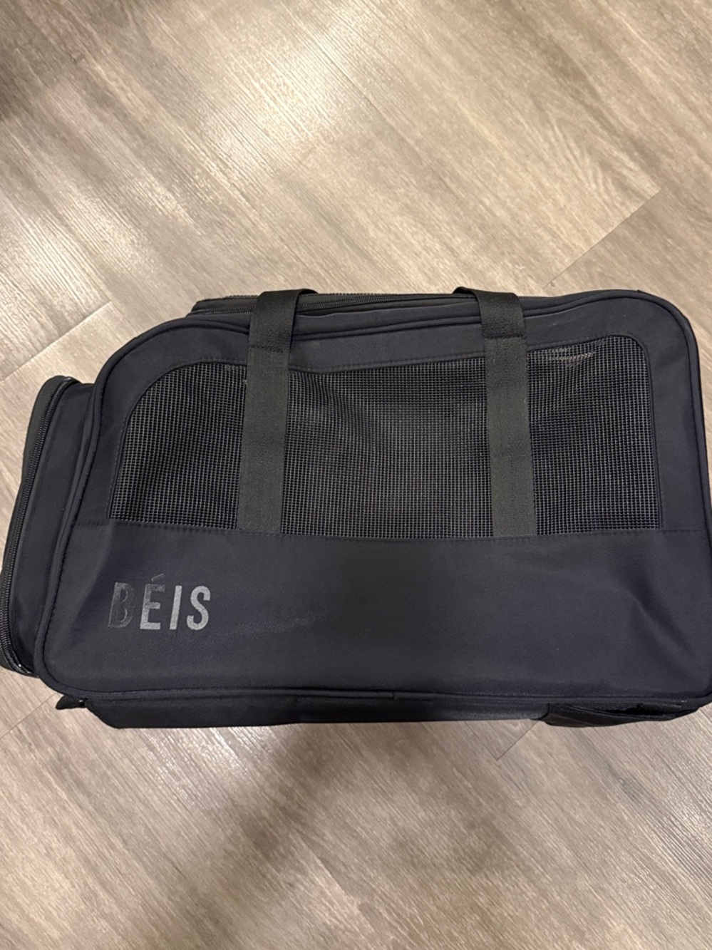 BEIS - The Regulation Pet Carry-on